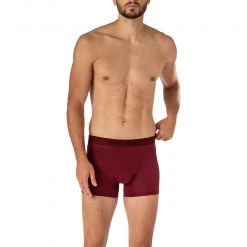 bruno banani Shorts Autumn Colouring 2201-2344/274 Trunk, Mikrofaser-Stretch, Weinrot